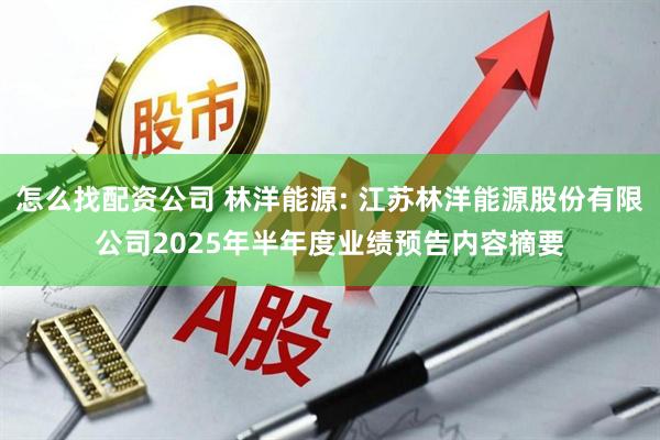 怎么找配资公司 林洋能源: 江苏林洋能源股份有限公司2025年半年度业绩预告内容摘要